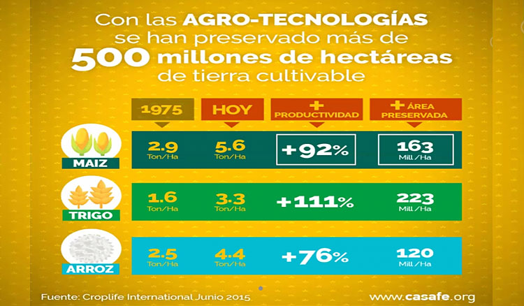 Educación brinda capacitaciones sobre producción agropecuaria